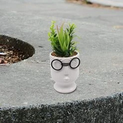 ALIWINER Artificial Succulents Plants With Ceramic Pot Decor Figurines Living Room Decor Home Decoration 14 ALIWINER Artificial Succulents Plants With Ceramic Pot Decor Figurines Living Room Decor Home Decoration -Artificial Trees Store 51oVhcmWiIL