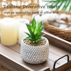CADNLY Small Artificial Plants In Pots - Fake Plants For Bathroom Office Desk - Faux Succulents Plants Artificial Succulents Decor - Faux Plants Indoor Small Plants Shelf Decor Green Potted Plant -Artificial Trees Store 51ozXHMrFUL