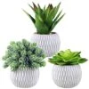 Set Of 3 Small Potted Succulents Plants Artificial Aloe Hops Succulents In Gray Concrete Ceramic Planter Geometry Pattern For Party Favor Gift Windowsill Tabletop Shelf Indoor Outdoor Greenery Decor 1 Set Of 3 Small Potted Succulents Plants Artificial Aloe Hops Succulents In Gray Concrete Ceramic Planter Geometry Pattern For Party Favor Gift Windowsill Tabletop Shelf Indoor Outdoor Greenery Decor -Artificial Trees Store 51p2vUMiv7L