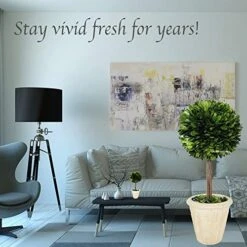 Natural Preserved Boxwood Topiary In Pot 9 Inch Stunning Greenery And Plant Decor Great For Home Office Bar Shop Decoartion Christmas Topiary Decor GIFS For Family, New House(9 Inch Tall/4 Inch Wide) -Artificial Trees Store 51p3Np1os4L