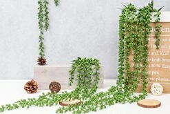 Meiliy 4pcs Artificial Succulent Plants Hanging Succulent Plants Faux Succulents Unpotted Branch String Of Pearls Plant For Home Kitchen Office Wedding Garden Craft Art Decor(28 Inches Each Length) -Artificial Trees Store 51pIFDYH8pL