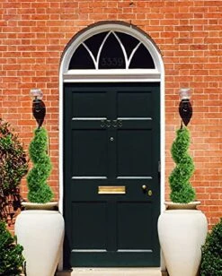 3ft Artificial Spiral Topiary,Faux Topiary Trees ,Artificial Boxwood Plants,Topiary Trees Artificial Outdoor 2 Pack,Fake Plant Green Decor For Outdoor And Indoor,Topiaries For Front Porch Set Of Two -Artificial Trees Store 51pVyHjWgWL