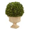 Nearly Natural 12in. Boxwood Topiary Ball Preserved Plant In Decorative Urn (4372) -Artificial Trees Store 51pexqS3BGL