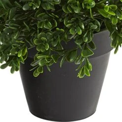 Nearly Natural Mini 10in. Boxwood Topiary Artificial Plant UV Resistant (Indoor/Outdoor), Green -Artificial Trees Store 51prQxr4qbL