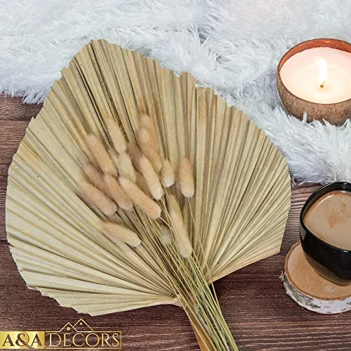 GENERIC Dried Palm Leaves - 3 Pcs Stunning Dried Palm Leaf And 15Pcs Bunny Tails Dried Flowers | Gorgeously Thick Dried Palm Leaves Decor And Bunny Tail For Wedding, Home And Boho Decor | 18 Inch 8 GENERIC Dried Palm Leaves - 3 Pcs Stunning Dried Palm Leaf And 15Pcs Bunny Tails Dried Flowers | Gorgeously Thick Dried Palm Leaves Decor And Bunny Tail For Wedding, Home And Boho Decor | 18 Inch - Image 6