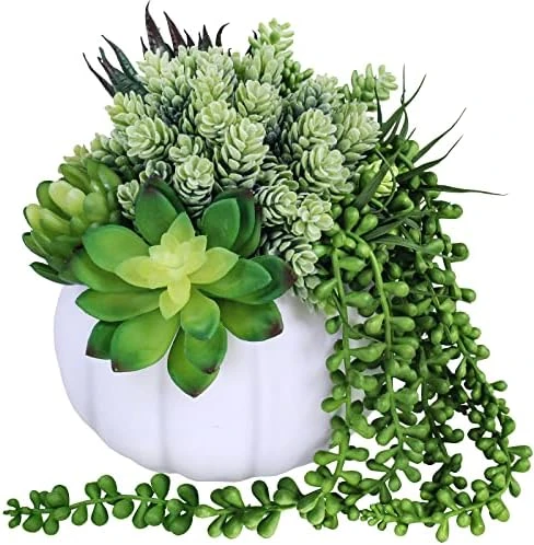 White Fall Pumpkin Centerpiece Artificial Succulent Pumpkin Arrangement With Assorted String Of Pearls Succulents For Fall Thanksgiving Gifts Home Wedding Table Mantel Windowsill Shelf Decor 10 White Fall Pumpkin Centerpiece Artificial Succulent Pumpkin Arrangement With Assorted String Of Pearls Succulents For Fall Thanksgiving Gifts Home Wedding Table Mantel Windowsill Shelf Decor - Image 8