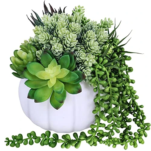 White Fall Pumpkin Centerpiece Artificial Succulent Pumpkin Arrangement With Assorted String Of Pearls Succulents For Fall Thanksgiving Gifts Home Wedding Table Mantel Windowsill Shelf Decor 3 White Fall Pumpkin Centerpiece Artificial Succulent Pumpkin Arrangement With Assorted String Of Pearls Succulents For Fall Thanksgiving Gifts Home Wedding Table Mantel Windowsill Shelf Decor