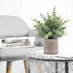 ROMAY 3 Pack Mini Potted Artificial Plants Fake Eucalyptus Greenery In Pots For Home Office Desk Decor -Artificial Trees Store 51qoyLHpJKL