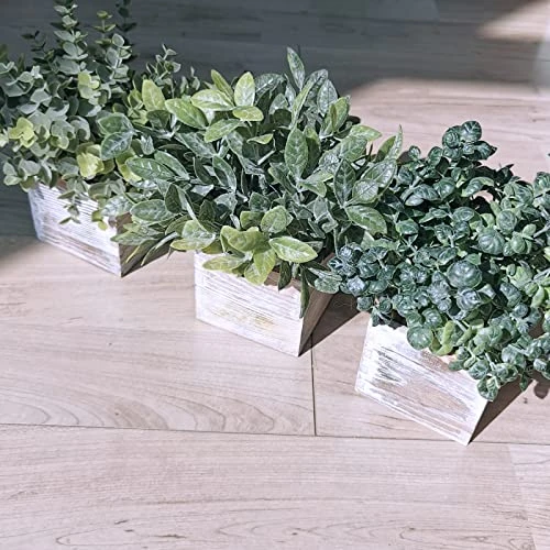 Winlyn Set Of 3 Small Potted Plants Artificial Eucalyptus In Wood Box Faux Eucalyptus In Pots Desk Plants Greenery Centerpiece Table Decorations For Farmhouse Kitchen Windowsill Shelf Entryway Decor 5 Winlyn Set Of 3 Small Potted Plants Artificial Eucalyptus In Wood Box Faux Eucalyptus In Pots Desk Plants Greenery Centerpiece Table Decorations For Farmhouse Kitchen Windowsill Shelf Entryway Decor - Image 3