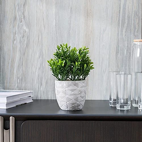 "FAVRD" Artificial Plants Boxwood In Cement Pot Environmentally Conscious Partly Recycled Fake Plants Topiary Shrubs Faux Plants Indoor Home Office Decor Desk, 6.5 X 6.5 X 9.5 Inches 4 "FAVRD" Artificial Plants Boxwood In Cement Pot Environmentally Conscious Partly Recycled Fake Plants Topiary Shrubs Faux Plants Indoor Home Office Decor Desk, 6.5 X 6.5 X 9.5 Inches - Image 2