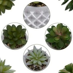 Succulent Decor, Fake Succulents, Succulent Wall Decor, Succulents Artificial Decor, Small Fake Plant, Succulent Decoration, Potted Plants, Set Of 3 Succulents 11 Succulent Decor, Fake Succulents, Succulent Wall Decor, Succulents Artificial Decor, Small Fake Plant, Succulent Decoration, Potted Plants, Set Of 3 Succulents -Artificial Trees Store 51rCmn8CioL