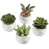 MyGift Miniature Artificial Succulents, Indoor Fake House Plants In Round White Geometric Ceramic Pots, Set Of 4 -Artificial Trees Store 51rCowEeU1L