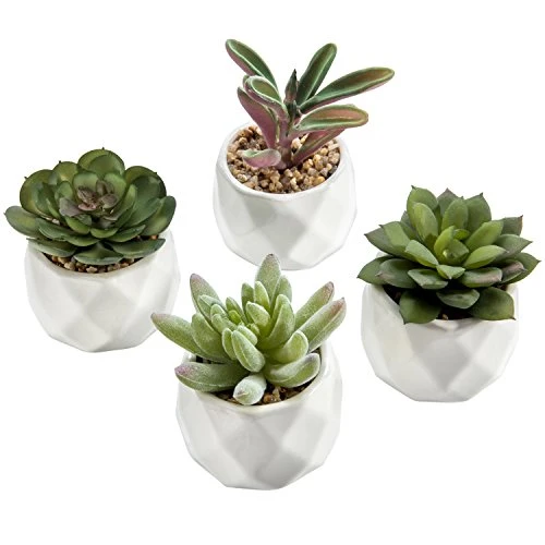 MyGift Miniature Artificial Succulents, Indoor Fake House Plants In Round White Geometric Ceramic Pots, Set Of 4 3 MyGift Miniature Artificial Succulents, Indoor Fake House Plants In Round White Geometric Ceramic Pots, Set Of 4