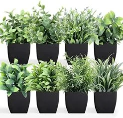 LELEE 8pcs Artificial Potted Plants Mini Fake Potted Plants, Small Eucalyptus Potted Faux Decorative Grass Plant With Black Pot For Home Decor, Indoor, Office, Desk, Table, Shelf Decoration 14 LELEE 8pcs Artificial Potted Plants Mini Fake Potted Plants, Small Eucalyptus Potted Faux Decorative Grass Plant With Black Pot For Home Decor, Indoor, Office, Desk, Table, Shelf Decoration -Artificial Trees Store 51rKUa9SgyL. AC