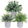 Set Of 3 Assorted Small Potted Plants Fake Eucalyptus And Rosemary Plants In Gray Geometric Concrete Ceramic Pots For Gifts Home Kitchen Office Shelf Table Desk Modern Indoor Outdoor Greenery Decor 2 Set Of 3 Assorted Small Potted Plants Fake Eucalyptus And Rosemary Plants In Gray Geometric Concrete Ceramic Pots For Gifts Home Kitchen Office Shelf Table Desk Modern Indoor Outdoor Greenery Decor -Artificial Trees Store 51rSkQdOMwL