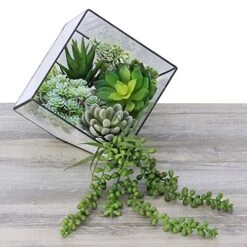 Winlyn 6 Pcs Unpotted Fake Succulents Assorted Faux Succulent In Different Green Artificial Hanging Succulents Textured Faux Succulent Pick Hanging String Of Pearls Plant For Wedding Centerpieces 12 Winlyn 6 Pcs Unpotted Fake Succulents Assorted Faux Succulent In Different Green Artificial Hanging Succulents Textured Faux Succulent Pick Hanging String Of Pearls Plant For Wedding Centerpieces -Artificial Trees Store 51rW3on6QNL