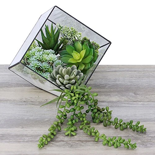 Winlyn 6 Pcs Unpotted Fake Succulents Assorted Faux Succulent In Different Green Artificial Hanging Succulents Textured Faux Succulent Pick Hanging String Of Pearls Plant For Wedding Centerpieces 7 Winlyn 6 Pcs Unpotted Fake Succulents Assorted Faux Succulent In Different Green Artificial Hanging Succulents Textured Faux Succulent Pick Hanging String Of Pearls Plant For Wedding Centerpieces - Image 5