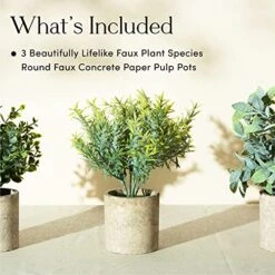 Kitzini Topiary Balls. 3 Fake Plants: Clipped Succulent, White & Purple Blossom. Realistic Artificial Plants For Home Decor Indoor. Gift Boxed. Premium Pot Set. 9 Kitzini Topiary Balls. 3 Fake Plants: Clipped Succulent, White & Purple Blossom. Realistic Artificial Plants For Home Decor Indoor. Gift Boxed. Premium Pot Set. -Artificial Trees Store 51rwGssHddS