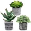 Winlyn Set Of 3 Assorted Small Potted Succulents Arrangement Artificial Succulent Plants In Black And White Geometric Pots For Table Centerpiece Windowsill Shelf Indoor Outdoor Garden Greenery Decor -Artificial Trees Store 51rzglB7vaL