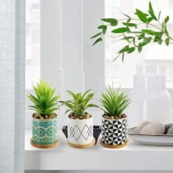 Letinaner Artificial Succulent Plants Fake Pineapple In Pots Artificial Faux Plants Greenery Decorations For Hotel Restaurant Home Office Kitchen Table, Set Of 3 11 Letinaner Artificial Succulent Plants Fake Pineapple In Pots Artificial Faux Plants Greenery Decorations For Hotel Restaurant Home Office Kitchen Table, Set Of 3 -Artificial Trees Store 51s6cG9irmL