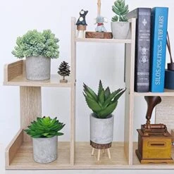 Winlyn Set Of 3 Artificial Potted Succulents Plants In Rustic Wood Tray Succulents Arrangement For Farmhouse Table Centerpiece Desk Windowsill Shelf Counter Home Bathroom Kitchen Office Country Decor -Artificial Trees Store 51sLAkY7X8L