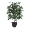 Vickerman 4' Artificial Mini Ficus Bush, Gray Plastic Container. -Artificial Trees Store 51sWRMNNfjL