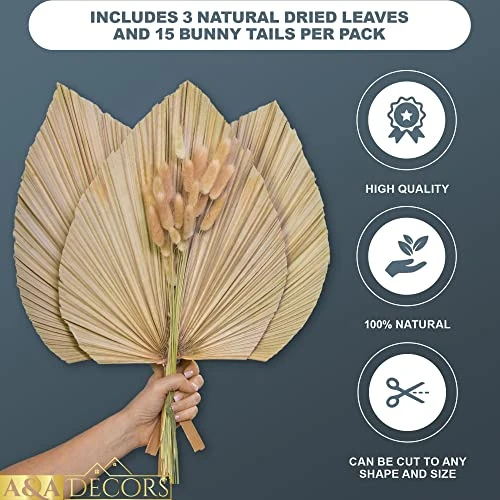GENERIC Dried Palm Leaves - 3 Pcs Stunning Dried Palm Leaf And 15Pcs Bunny Tails Dried Flowers | Gorgeously Thick Dried Palm Leaves Decor And Bunny Tail For Wedding, Home And Boho Decor | 18 Inch 4 GENERIC Dried Palm Leaves - 3 Pcs Stunning Dried Palm Leaf And 15Pcs Bunny Tails Dried Flowers | Gorgeously Thick Dried Palm Leaves Decor And Bunny Tail For Wedding, Home And Boho Decor | 18 Inch - Image 2