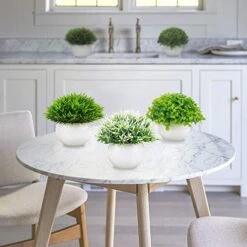 Summer Flower 5 Pack Mini Artificial Plants In Ceramics Pots For Bathroom Home Decor Indoor, 2 Fake Mini Plant Green Boxwood Potted,3 Grass Faux Plant In White Pot For Bookshelf Farmhouse Decorations -Artificial Trees Store 51t7uFKdC6L