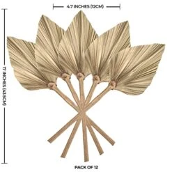 PYSAZI 12 Pcs Natural Dried Palm Leaves Boho Dried Palm Spears Leaves Bulk Small Dried Real Palm Fans Dry Palm Leaves With Stems Dried Leaf Boho Home Décor For Vase Wedding Office Home 43.5*12cm 9 PYSAZI 12 Pcs Natural Dried Palm Leaves Boho Dried Palm Spears Leaves Bulk Small Dried Real Palm Fans Dry Palm Leaves With Stems Dried Leaf Boho Home Décor For Vase Wedding Office Home 43.5*12cm -Artificial Trees Store 51tDEM0ZzfL