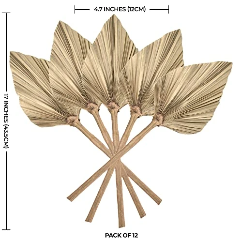 PYSAZI 12 Pcs Natural Dried Palm Leaves Boho Dried Palm Spears Leaves Bulk Small Dried Real Palm Fans Dry Palm Leaves With Stems Dried Leaf Boho Home Décor For Vase Wedding Office Home 43.5*12cm 4 PYSAZI 12 Pcs Natural Dried Palm Leaves Boho Dried Palm Spears Leaves Bulk Small Dried Real Palm Fans Dry Palm Leaves With Stems Dried Leaf Boho Home Décor For Vase Wedding Office Home 43.5*12cm - Image 2