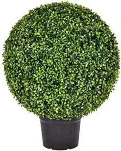 Vickerman Everyday 24 Inch Artificial Boxwood Topiary Ball - UV Resistant Indoor Outdoor - Potted Natural Green - Home Patio Tabletop Faux Bush Decoration 11 Vickerman Everyday 24 Inch Artificial Boxwood Topiary Ball - UV Resistant Indoor Outdoor - Potted Natural Green - Home Patio Tabletop Faux Bush Decoration -Artificial Trees Store 51tGkLGeL. AC
