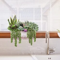 14 Pcs Assorted Artificial Succulents Fake Plants In Rectangular Wooden Pots Artificial Potted Succulents Plants Arrangement For Table Centerpiece Windowsill Shelf Mantel Tropical Greenery Decor -Artificial Trees Store 51tMbh2LS9L