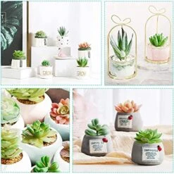 Happyhapi 12 Pcs Artificial Succulents Mini Fake Plants Unpotted Faux Succulent For Craft, Small Plastic Succulents Assortment In Flocked Green Floral Decor For Party, Cake, Garden & Outdoor 10 Happyhapi 12 Pcs Artificial Succulents Mini Fake Plants Unpotted Faux Succulent For Craft, Small Plastic Succulents Assortment In Flocked Green Floral Decor For Party, Cake, Garden & Outdoor -Artificial Trees Store 51tPUEnE0wL