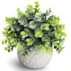 Hopewood Fake Plants Indoor Small Artificial Eucalyptus Plants In White Pots For Bedroom Home Decor Faux Plants Decor 1 Hopewood Fake Plants Indoor Small Artificial Eucalyptus Plants In White Pots For Bedroom Home Decor Faux Plants Decor -Artificial Trees Store 51tRdV3aQFS