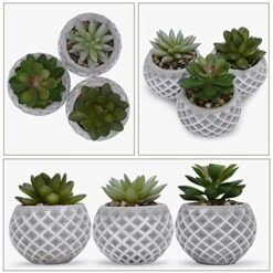 Succulent Decor, Fake Succulents, Succulent Wall Decor, Succulents Artificial Decor, Small Fake Plant, Succulent Decoration, Potted Plants, Set Of 3 Succulents 10 Succulent Decor, Fake Succulents, Succulent Wall Decor, Succulents Artificial Decor, Small Fake Plant, Succulent Decoration, Potted Plants, Set Of 3 Succulents -Artificial Trees Store 51tb0JTxssL