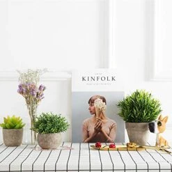 Velener Mini Sage Green Potted Boxwood Topiary Artificial Plants For Home Decor Indoor, Farmhouse House Plant Office Small Desk Shelf Apartment Coffee Bar Bathroom Decor Guest Room, Small Fake Plant 16 Velener Mini Sage Green Potted Boxwood Topiary Artificial Plants For Home Decor Indoor, Farmhouse House Plant Office Small Desk Shelf Apartment Coffee Bar Bathroom Decor Guest Room, Small Fake Plant -Artificial Trees Store 51tpxYtzUwL 1