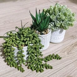 Set Of 3 Assorted Small Potted Succulent Plants Fake Aloe String Of Pearls Hops Succulents In Gray Geometric Concrete Ceramic Pots For Gifts Modern Home Office Desk Table Indoor Outdoor Greenery Decor 10 Set Of 3 Assorted Small Potted Succulent Plants Fake Aloe String Of Pearls Hops Succulents In Gray Geometric Concrete Ceramic Pots For Gifts Modern Home Office Desk Table Indoor Outdoor Greenery Decor -Artificial Trees Store 51ttw9Lc6zL