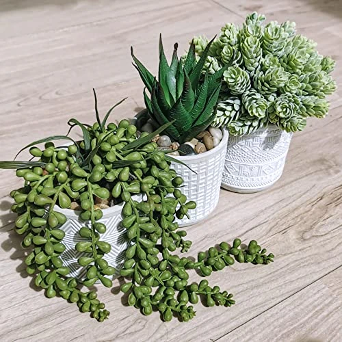 Set Of 3 Assorted Small Potted Succulent Plants Fake Aloe String Of Pearls Hops Succulents In Gray Geometric Concrete Ceramic Pots For Gifts Modern Home Office Desk Table Indoor Outdoor Greenery Decor 5 Set Of 3 Assorted Small Potted Succulent Plants Fake Aloe String Of Pearls Hops Succulents In Gray Geometric Concrete Ceramic Pots For Gifts Modern Home Office Desk Table Indoor Outdoor Greenery Decor - Image 3