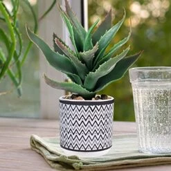 Set Of 3 Assorted Small Potted Plants Fake Eucalyptus Boxwood Plants Aloe Succulent Plant In Black And White Geometric Pots For Table Centerpiece Windowsill Shelf Indoor Outdoor Garden Greenery Decor 11 Set Of 3 Assorted Small Potted Plants Fake Eucalyptus Boxwood Plants Aloe Succulent Plant In Black And White Geometric Pots For Table Centerpiece Windowsill Shelf Indoor Outdoor Garden Greenery Decor -Artificial Trees Store 51u4xD2LDsL