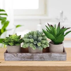 Winlyn Set Of 3 Artificial Potted Succulents Plants In Rustic Wood Tray Succulents Arrangement For Farmhouse Table Centerpiece Desk Windowsill Shelf Counter Home Bathroom Kitchen Office Country Decor -Artificial Trees Store 51u6pGL3NRL