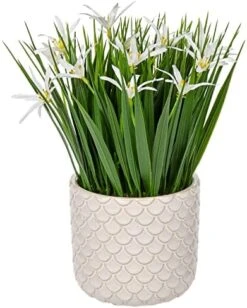 Briful Small Artificial Grass Plant Decor Wheat Fake Plant With Flowers In Ceramic Pot Real Touch Potted Greenery Faux Plant For Kitchen Countertop Tabletop Bookshelf Coffee Decorations -Artificial Trees Store 51u9cnrqoLL. AC
