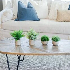 GreenCallow Artificial Plants For Home Decor Indoor. 4 Mini Plants, Rosemary Faux Plant Decor, Eucalyptus Plant, Grass Faux Plants. Small Fake Plants For Shelf Or Desk Plant Artificial Greenery Décor 12 GreenCallow Artificial Plants For Home Decor Indoor. 4 Mini Plants, Rosemary Faux Plant Decor, Eucalyptus Plant, Grass Faux Plants. Small Fake Plants For Shelf Or Desk Plant Artificial Greenery Décor -Artificial Trees Store 51uRbzYtRNL