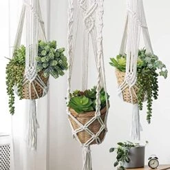 Winlyn 19 Pcs Assorted Artificial Succulents Plants Unpotted Small Green Aloe Hops Cactus String Of Pearls Picks Fake Succulents Bulk For Succulent Garden Floral Arrangement Indoor Outdoor Home Decor -Artificial Trees Store 51uSpP4307L