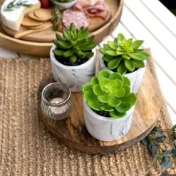 Kurrajong Farmhouse Artificial Succulent Plants In Pots | Mini Fake Plant For Shelves | Artificial Plants For Home Decor Indoor | Succulent Plants Artificial | Mini Plant Decor | Small Faux Plants -Artificial Trees Store 51uo3XIjv6L