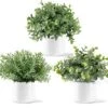 Mkono Fake Plants In Ceramic Pot, 3 Pack Potted Artificial Eucalyptus Plants For Home Decor Indoor Faux Green Rosemary For Desk Shelf Coffee Centerpiece Bathroom Office Decor 1 Mkono Fake Plants In Ceramic Pot, 3 Pack Potted Artificial Eucalyptus Plants For Home Decor Indoor Faux Green Rosemary For Desk Shelf Coffee Centerpiece Bathroom Office Decor -Artificial Trees Store 51usVowLiDL