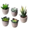 Jelofly Fake Plants Artificial Succulent Plants Assorted Decorative Faux Succulent Potted Fake Cactus Cacti Plants Gray Pots, Set Of 5 -Artificial Trees Store 51uyonDcaiL