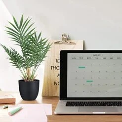 WOODWORD 2 Pack Fake Plant With Pot 16" Desk Plant Artificial Potted Faux Plants For Office Desk Shelf Home Farmhouse Decor (Bamboo Leaf) 14 WOODWORD 2 Pack Fake Plant With Pot 16" Desk Plant Artificial Potted Faux Plants For Office Desk Shelf Home Farmhouse Decor (Bamboo Leaf) -Artificial Trees Store 51v02672H4L