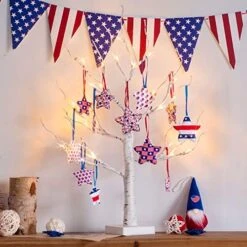 EAMBRITE Money Tree Gift Holder, Lighted Birch Tree 2FT 24LED, Battery/USB Powered Timer Light Up Display Twig Gift Card Tree With 12 Clear Clips And 6 Cards For Home Christmas Fathers Day Photo Memo -Artificial Trees Store 51v9G2VeDL. AC