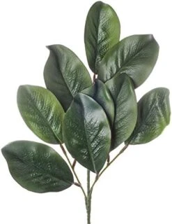 Factory Direct Craft Artificial Magnolia Leaf Bush Realistic Faux Magnolia Leaves For Natural Look Greenery In Floral Designs, Wedding Decor, Home Decor, And Holiday Decorating 26 Factory Direct Craft Artificial Magnolia Leaf Bush Realistic Faux Magnolia Leaves For Natural Look Greenery In Floral Designs, Wedding Decor, Home Decor, And Holiday Decorating -Artificial Trees Store 51vliBMsE1L. AC