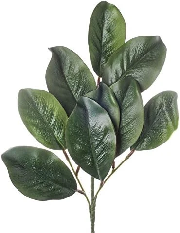 Factory Direct Craft Artificial Magnolia Leaf Bush Realistic Faux Magnolia Leaves For Natural Look Greenery In Floral Designs, Wedding Decor, Home Decor, And Holiday Decorating 12 Factory Direct Craft Artificial Magnolia Leaf Bush Realistic Faux Magnolia Leaves For Natural Look Greenery In Floral Designs, Wedding Decor, Home Decor, And Holiday Decorating - Image 10